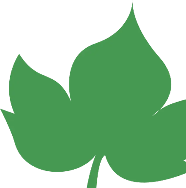 Eco-friendly leaf decoration